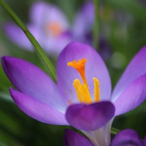 Meet your Posher, Carla